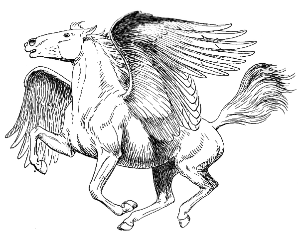 Pegasus Transparent PNG Image