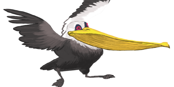 Pelican Transparent PNG Image