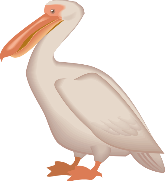 Pelican Transparent PNG Image