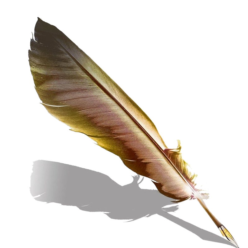 Pen Fountain Feather Quill Transparent PNG Image