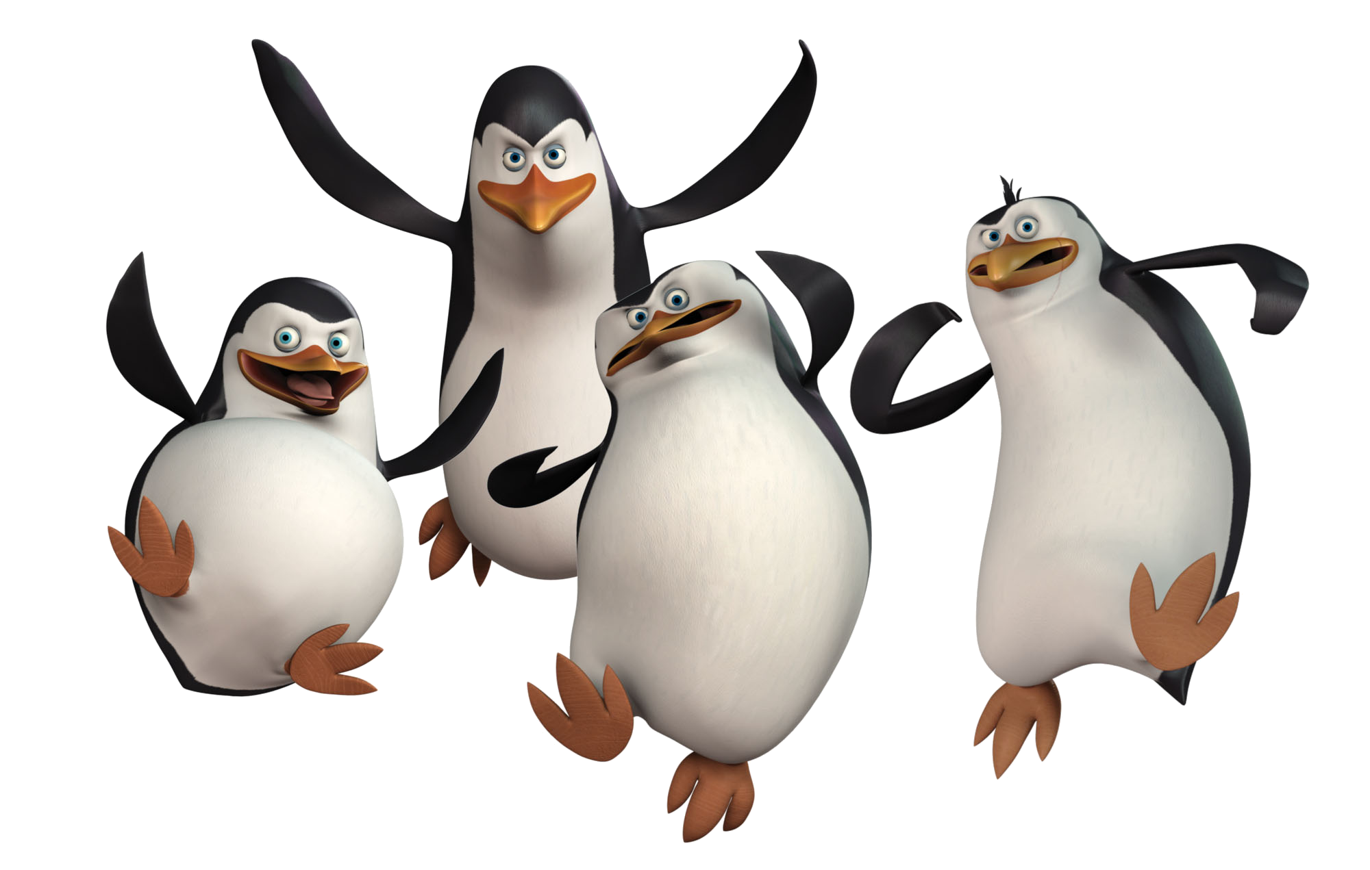 Penguin Transparent PNG Image