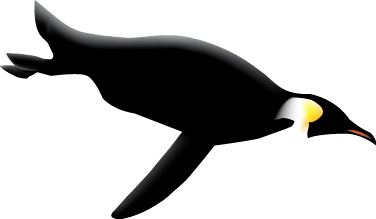 Penguin Transparent PNG Image