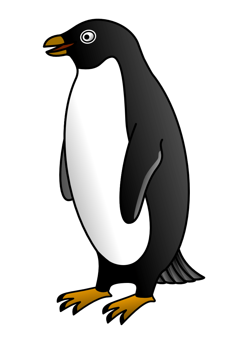 Penguin Transparent PNG Image