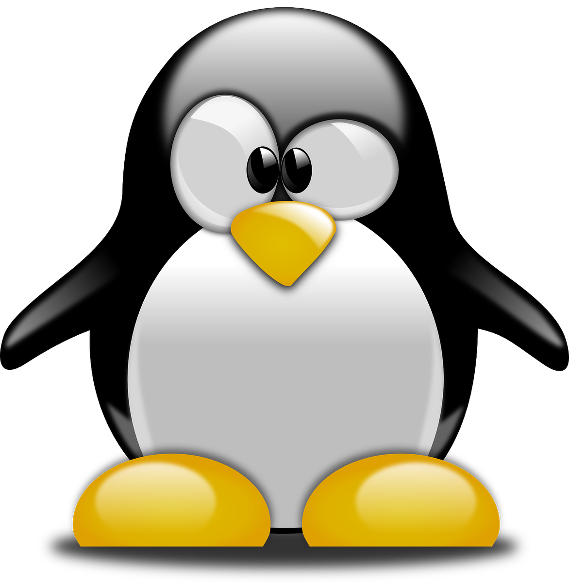 Tux Racer Linux Penguin Transparent PNG Image