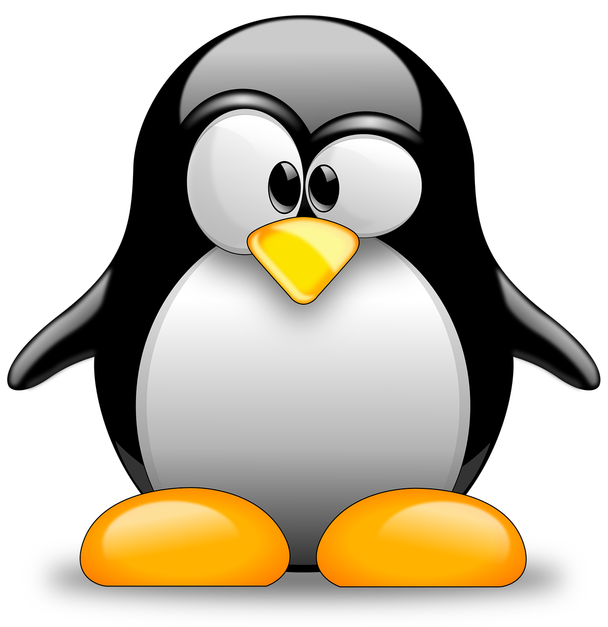 Tux Racer Linux Penguins Penguin Transparent PNG Image