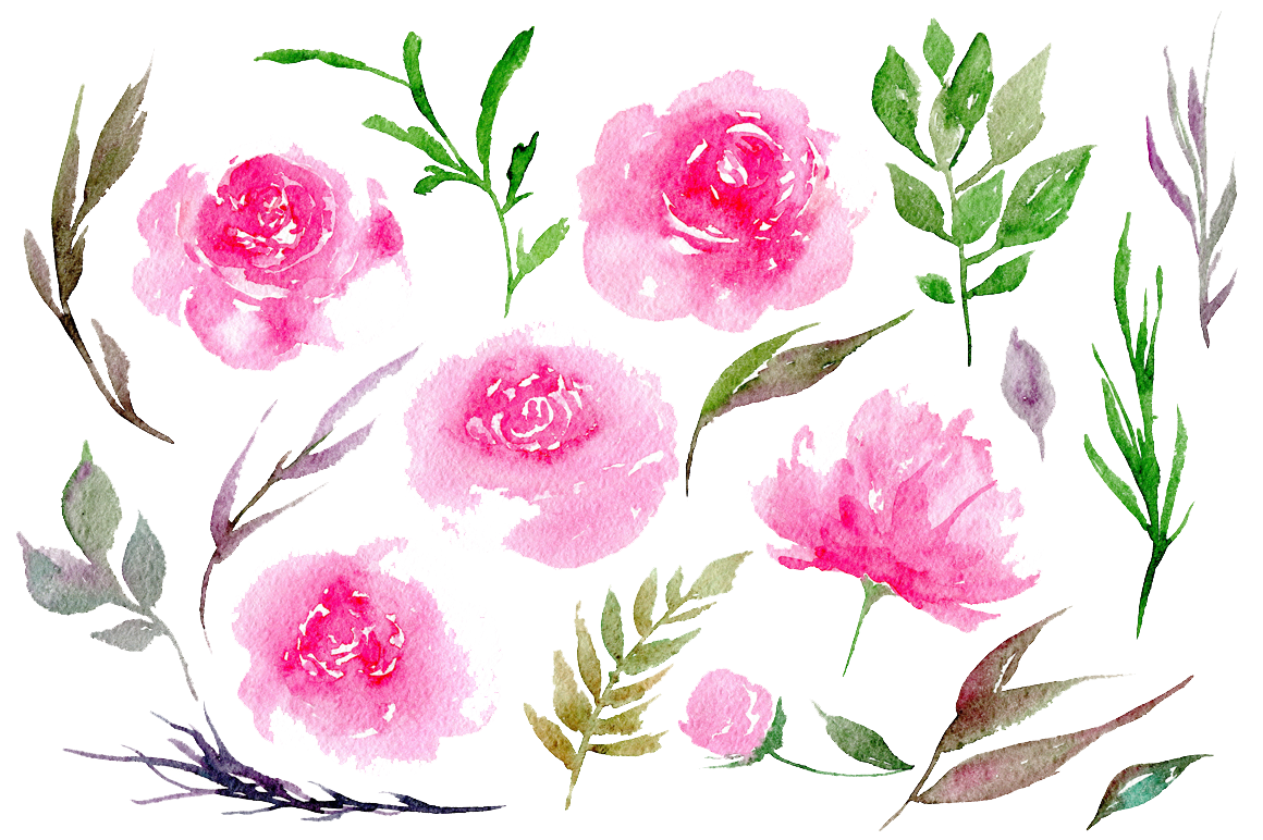 Peonies Transparent PNG Image