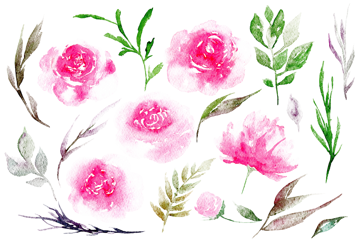 Peony Transparent PNG Image