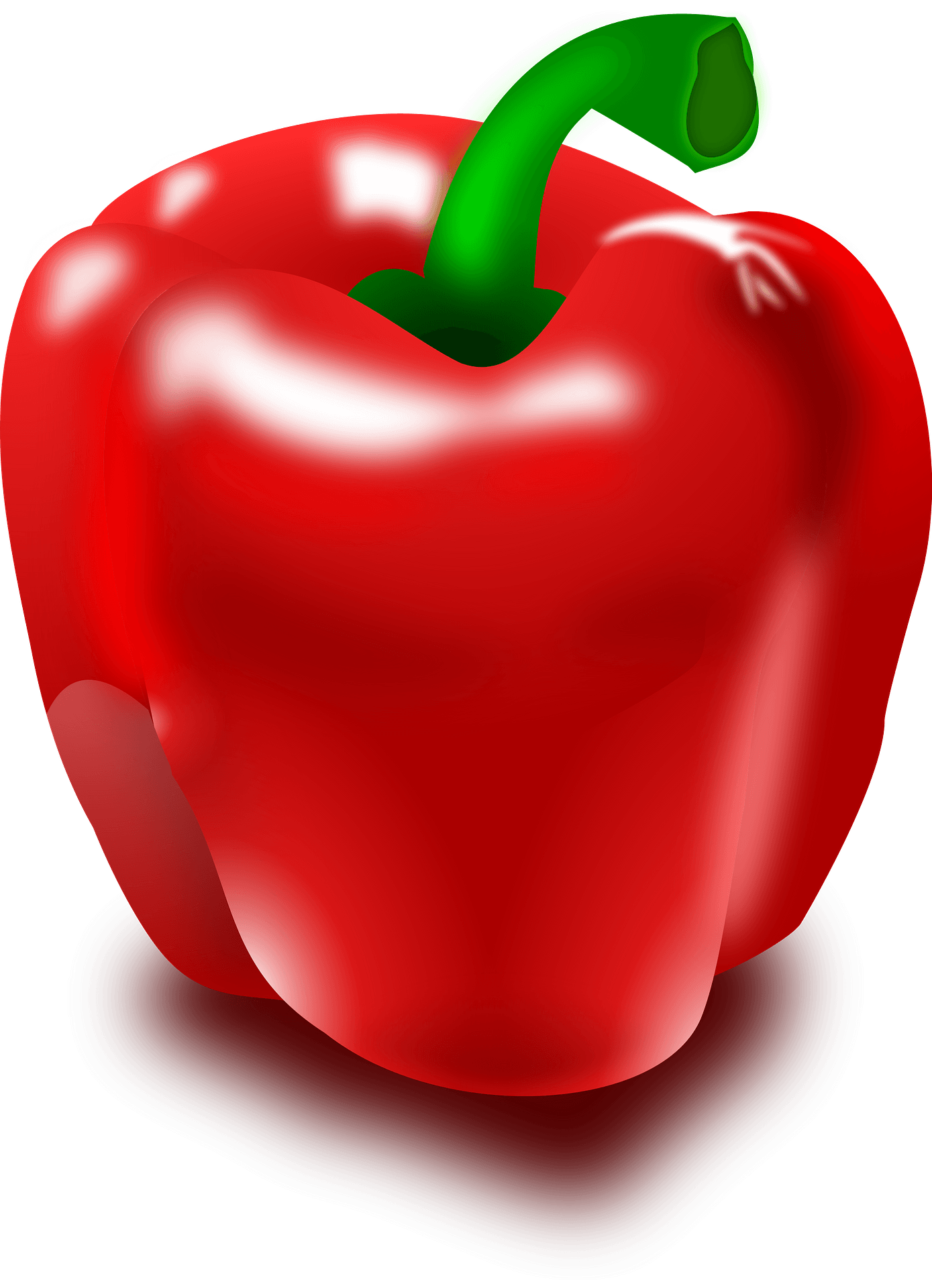 Capsicum Pepper Vector Red Bell Transparent PNG Image