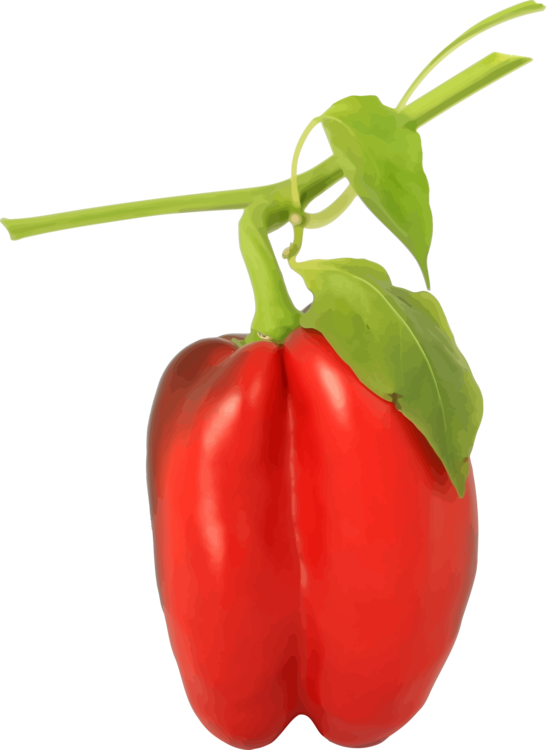 Pepper Leaves Red Bell Transparent PNG Image