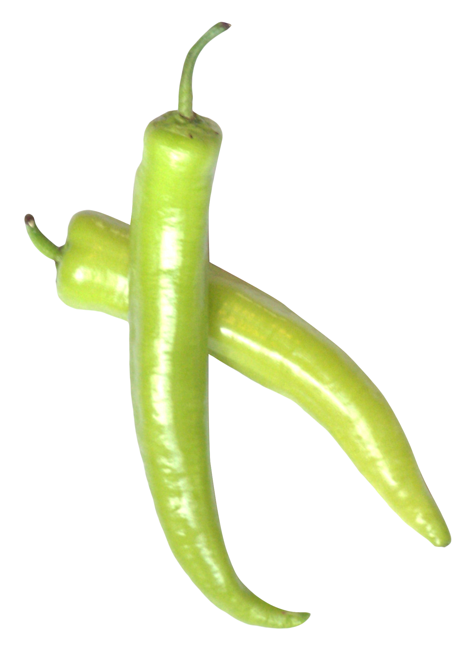 Fresh Chili Green Pepper Transparent PNG Image