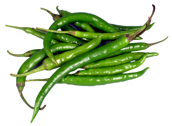 Fresh Chili Green Pepper Transparent PNG Image