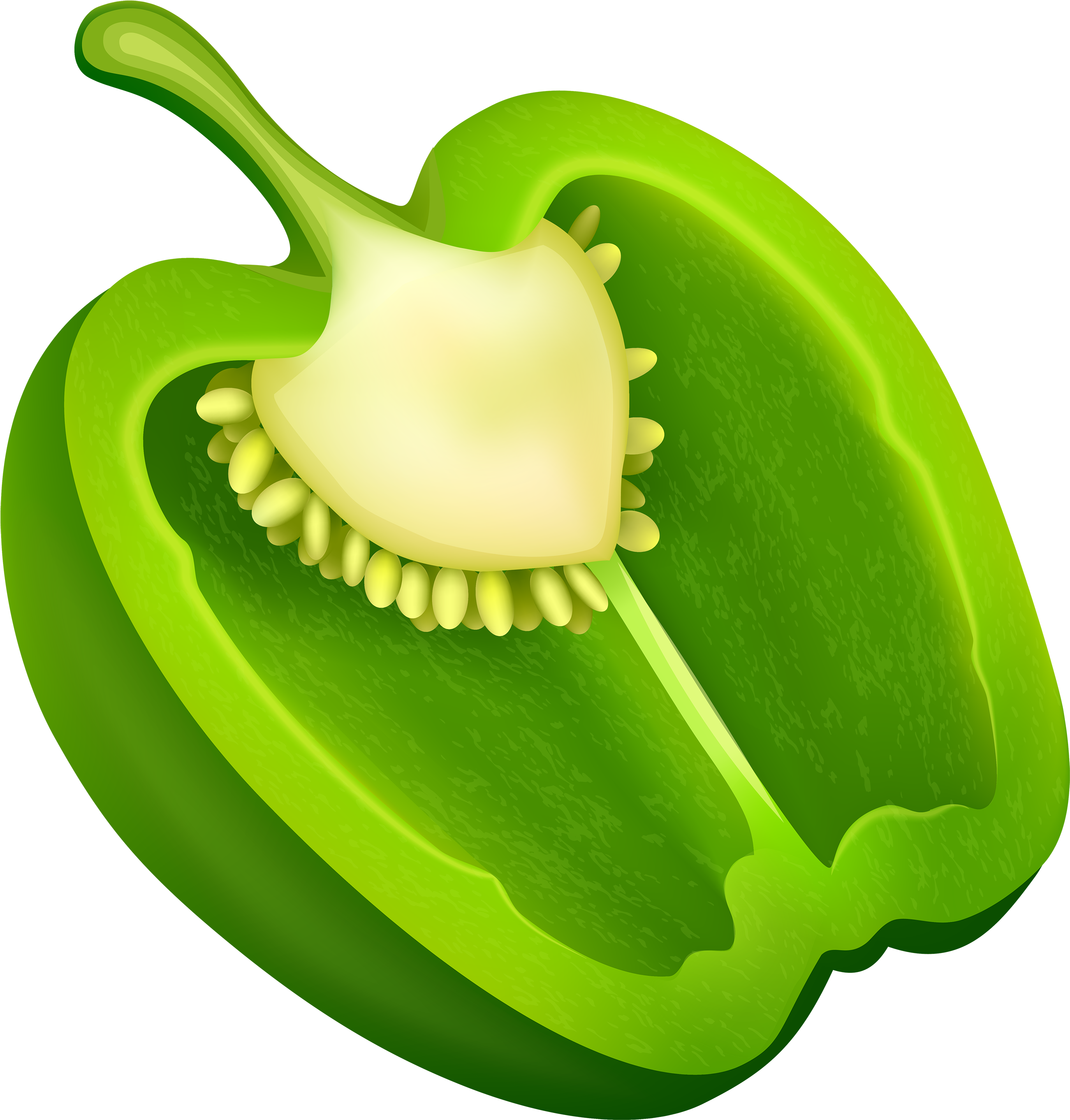 Pepper Vector Green Bell Transparent PNG Image
