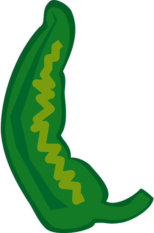 Chili Vector Green Pepper Transparent PNG Image