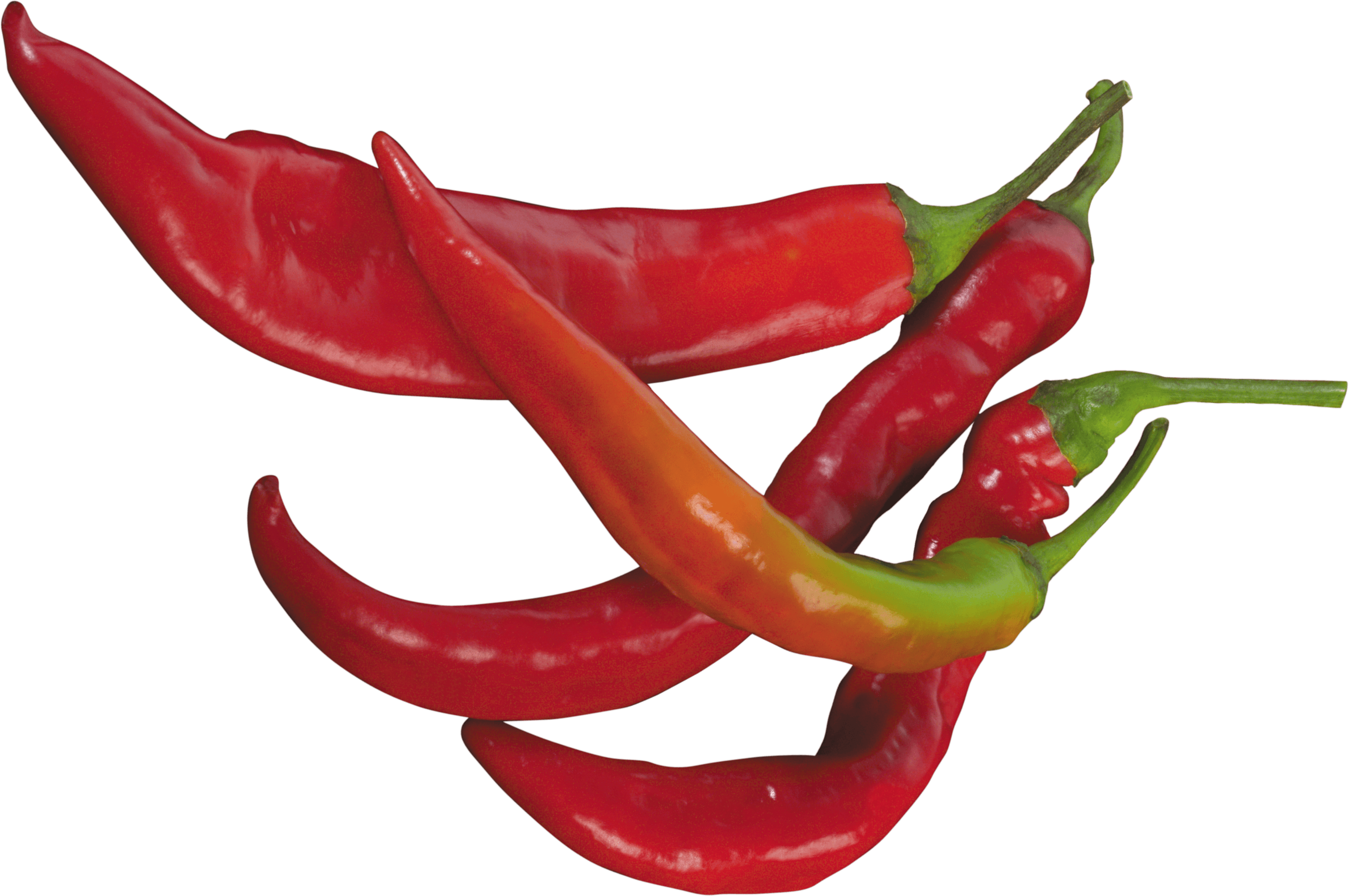 Red Chili Pepper Transparent PNG Image