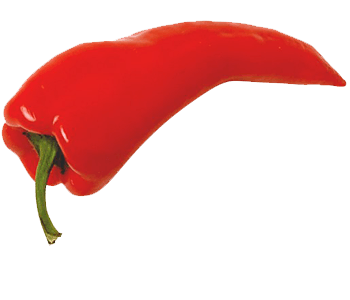 Red Chili Pepper Transparent PNG Image
