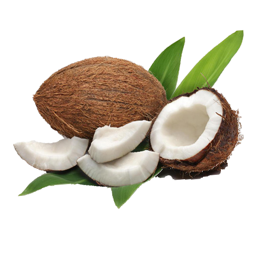 Water Coconut Oil Milk Meat Transparent PNG Image