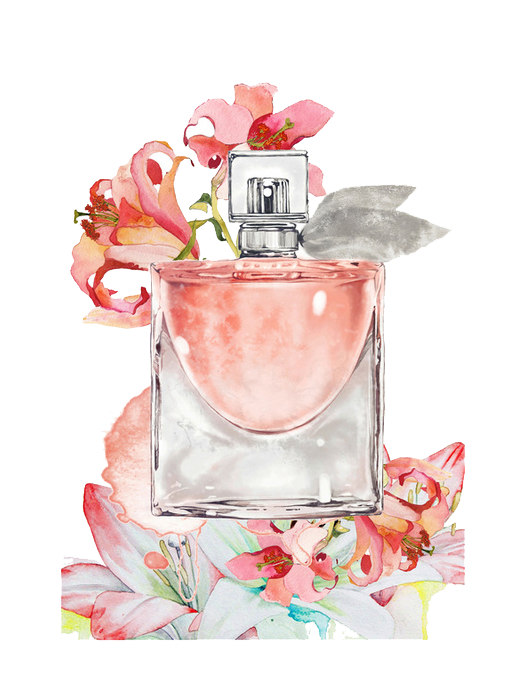 Painting Bottle Perfume Transparent PNG Image