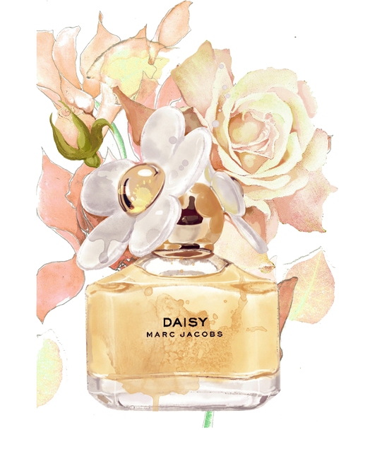 Bottle Perfume Transparent PNG Image