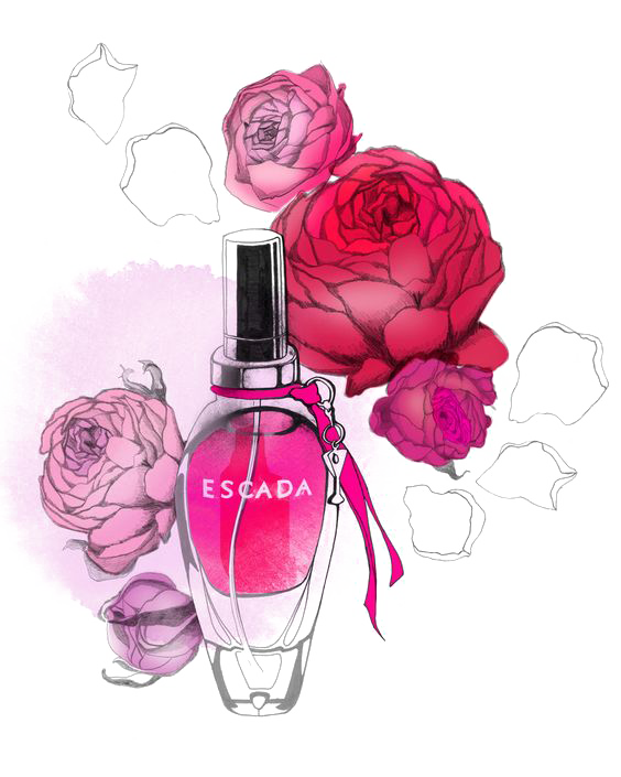 Fashion Illustrator Illustration Perfume Transparent PNG Image