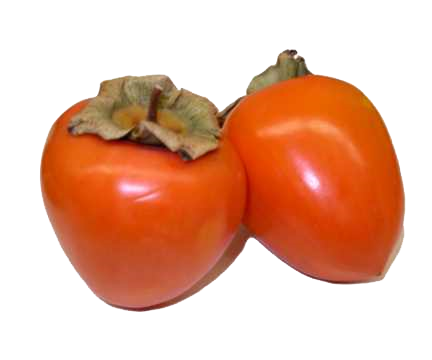 Persimmon Transparent PNG Image