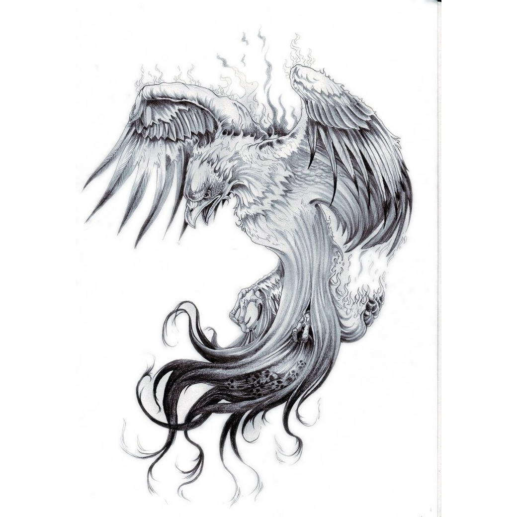 Tattoo Star Sleeve Phoenix Nautical Frame Transparent PNG Image