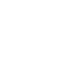 Phone Transparent PNG Image