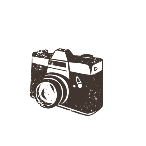 graphy Vector Transparent PNG Image
