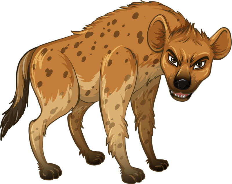 Hyena Wolf Wildlife Ferocious Illustration Transparent PNG Image