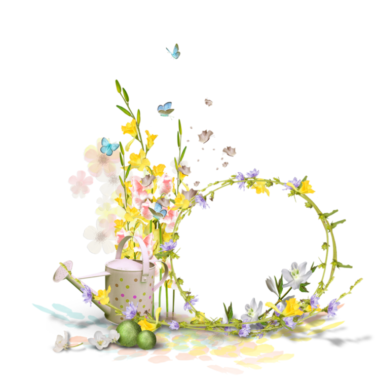 Butterfly Flower graphy Printemps Border Frame Transparent PNG Image