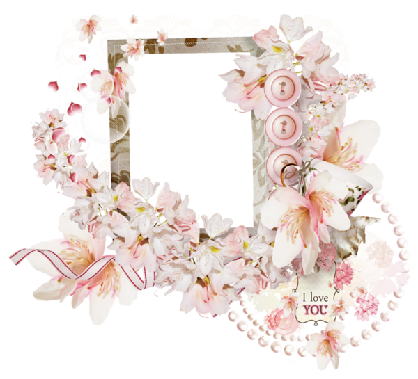 Pink Frame Flower graphy Transparent PNG Image