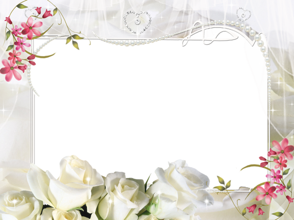 Frame White graphy Flower Transparent PNG Image