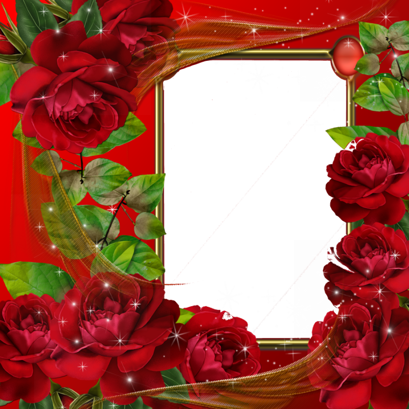 Flower Frame Application Editor Red Transparent PNG Image