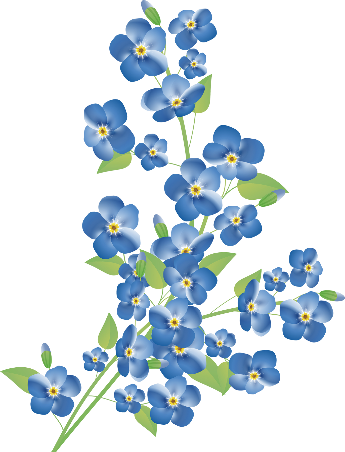 Blue Flower Grasses graphy Scorpion Royalty- Border Transparent PNG Image