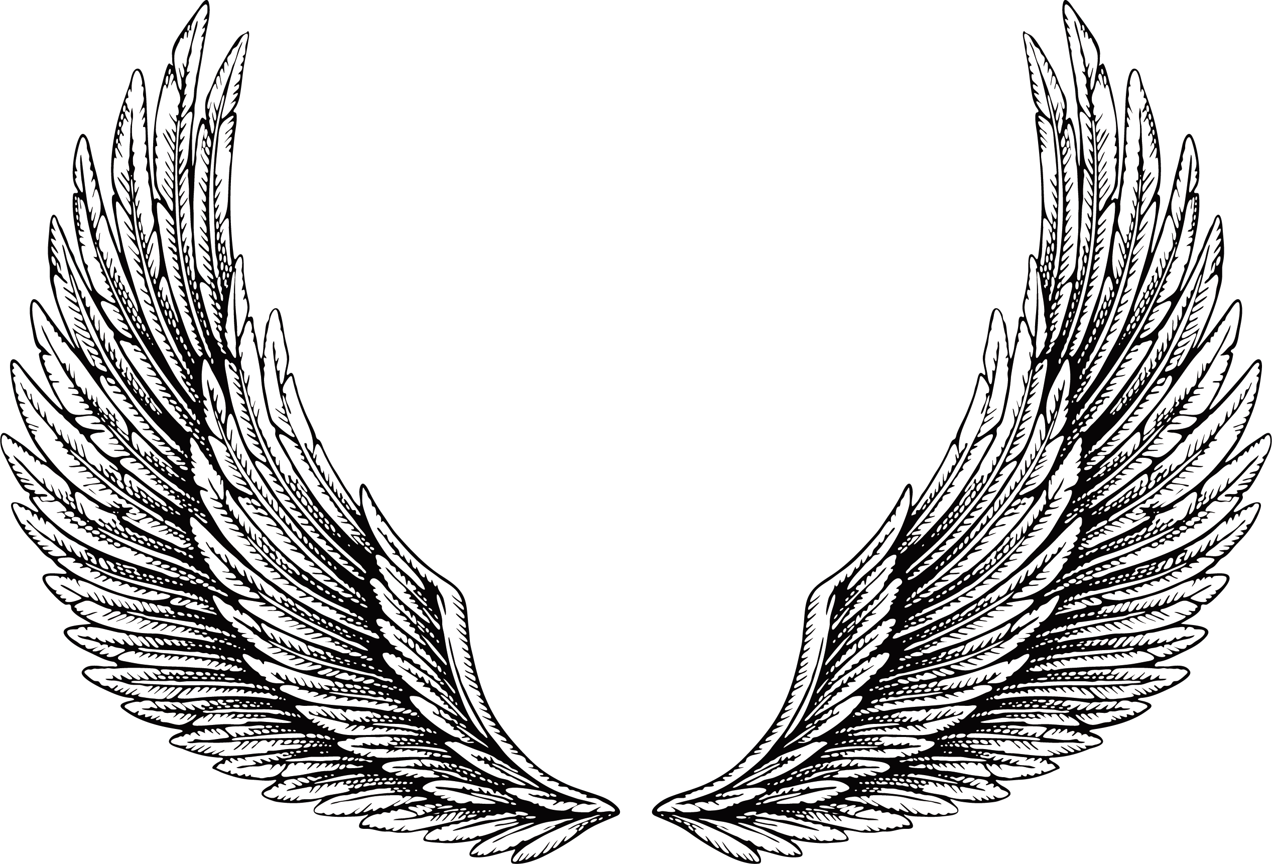Tattoo Wing Illustration File Transparent PNG Image