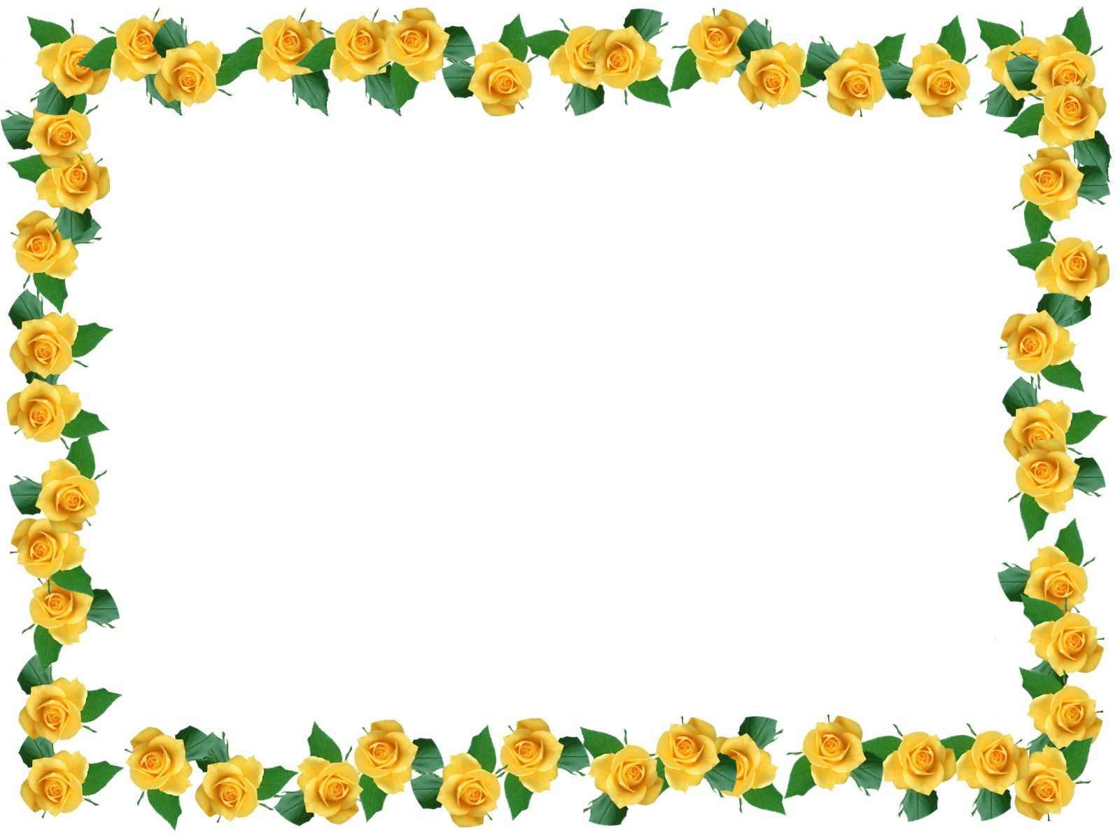 Flower Tokyo graphy Edogawa, Yellow Border Transparent PNG Image