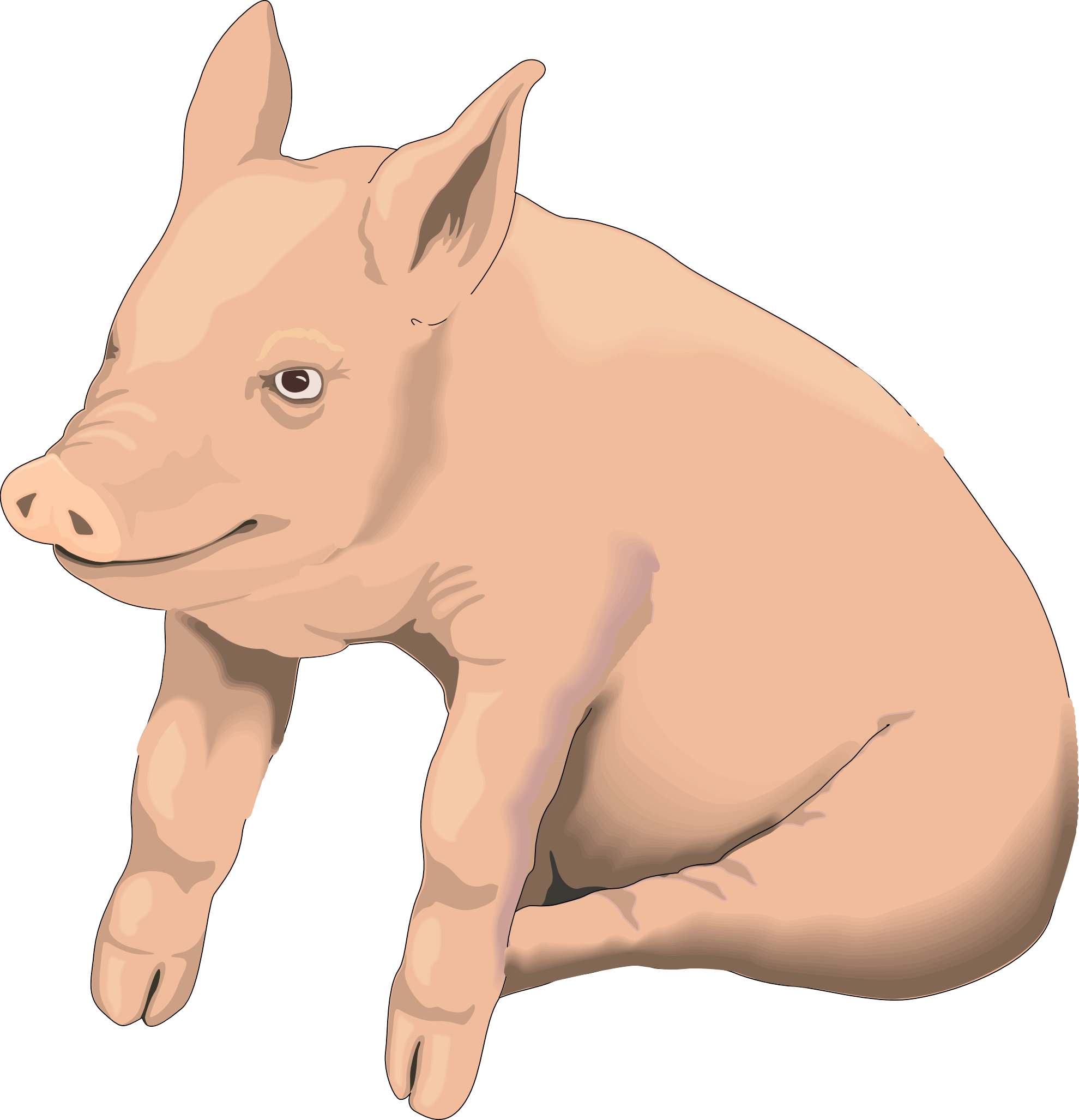 Pig Transparent PNG Image