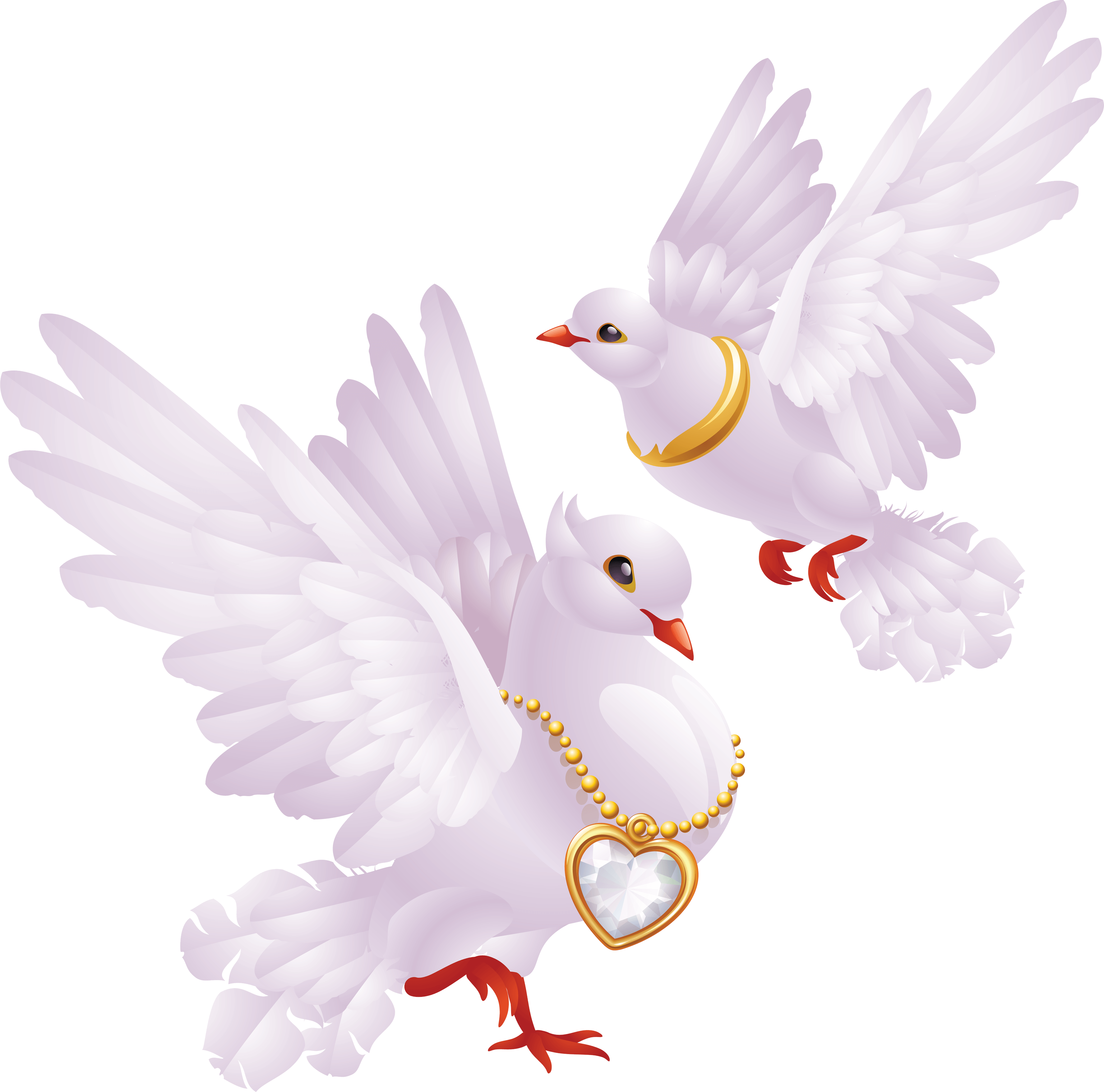 White Pigeons Transparent PNG Image