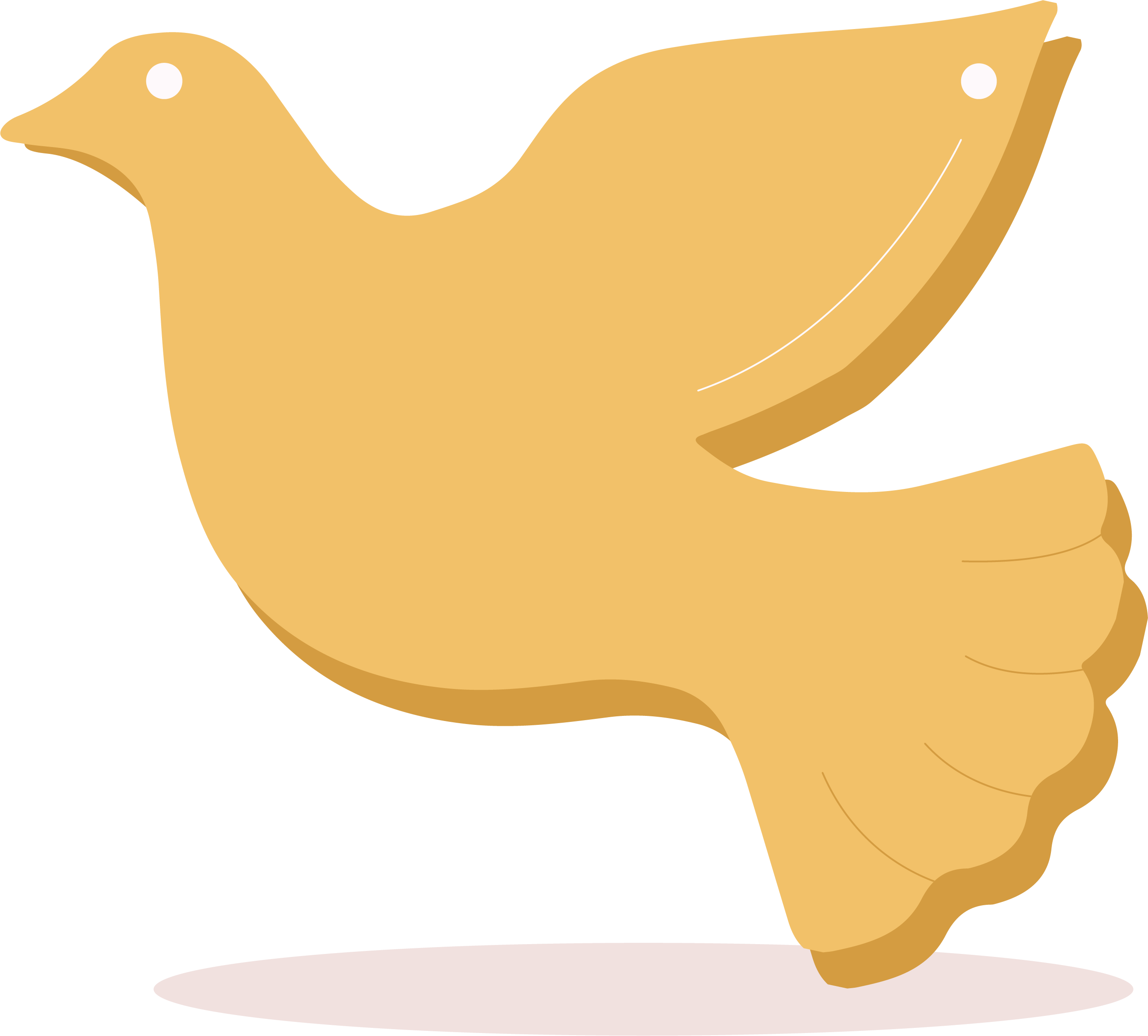 Columbidae Pigeon Transparent PNG Image