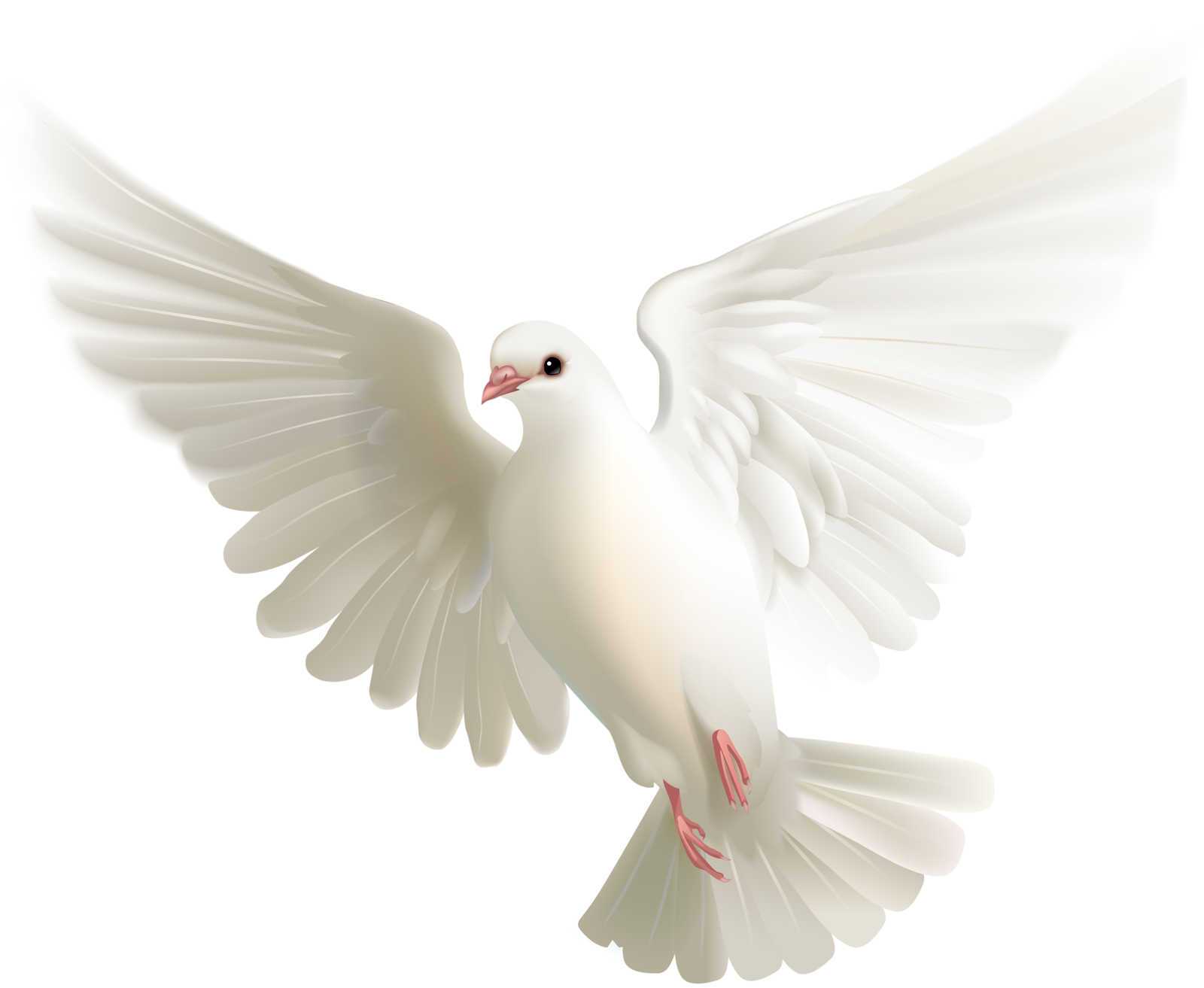 Flying Pigeon Peace Transparent PNG Image