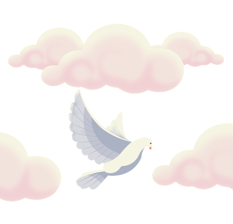 Flying Pigeon Peace Transparent PNG Image