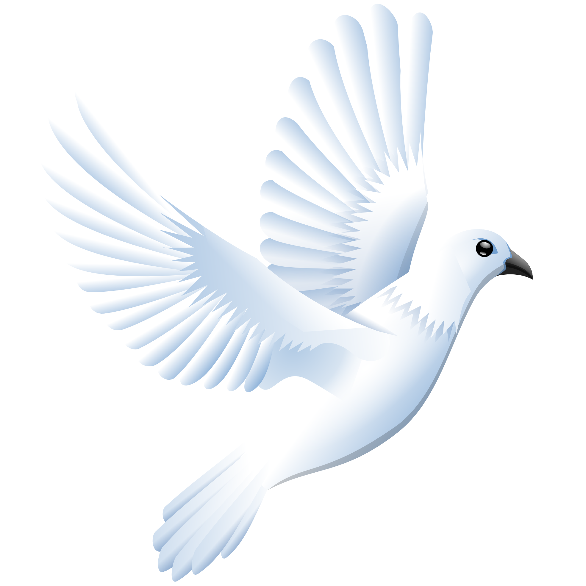 Flying Pigeon Peace Transparent PNG Image
