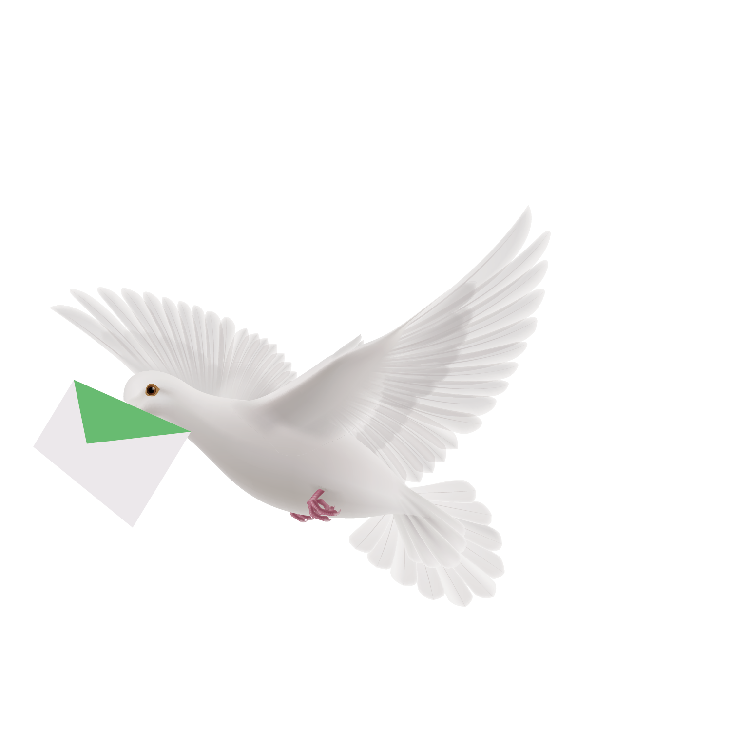 Flying Pigeon Peace Transparent PNG Image
