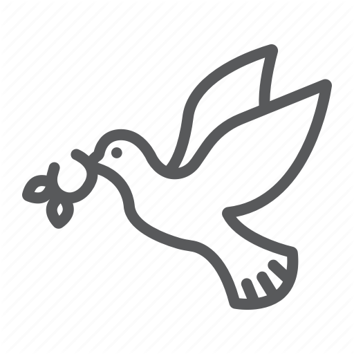 Peace Pigeon Transparent PNG Image