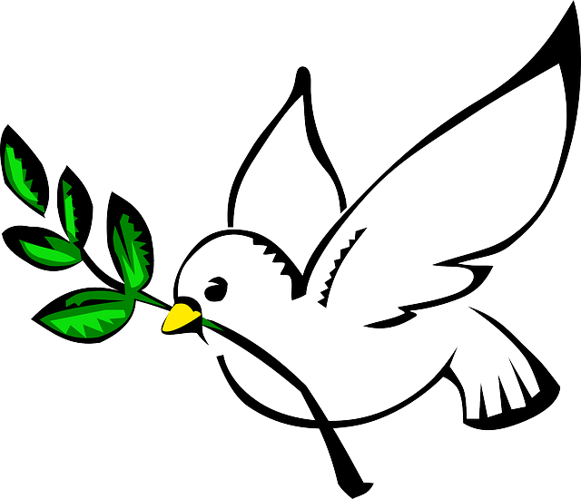 Peace Pigeon Transparent PNG Image