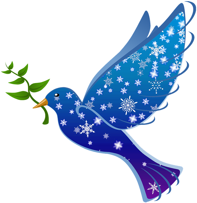 Pic Peace Pigeon Transparent PNG Image