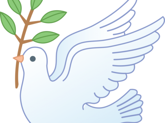 Peace Pigeon Transparent PNG Image