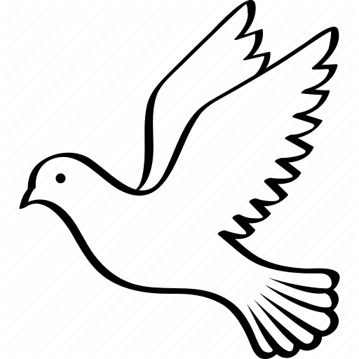 Peace Pigeon Transparent PNG Image