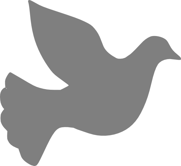 Vector Pigeon Peace Transparent PNG Image