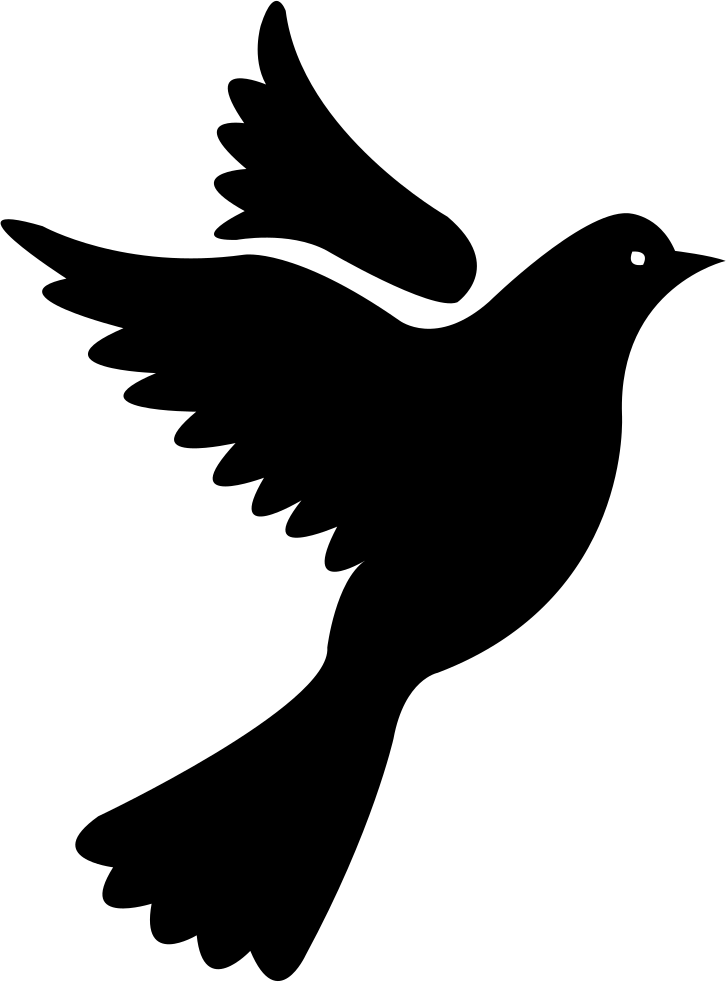Vector Pigeon Peace Transparent PNG Image