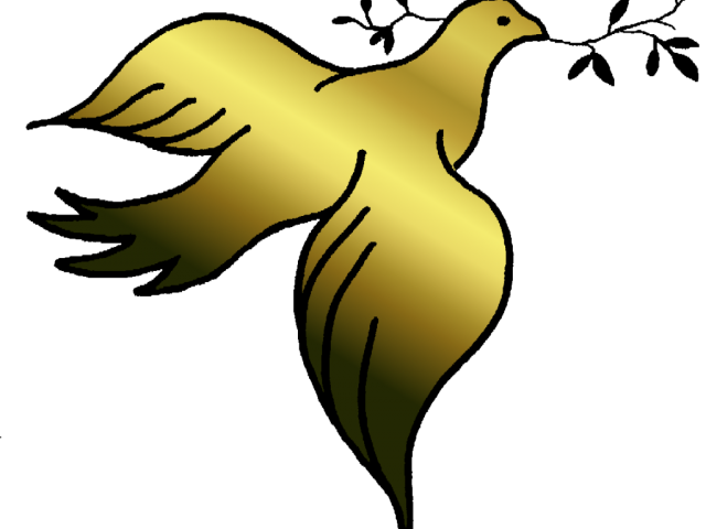 Vector Pigeon Peace Transparent PNG Image